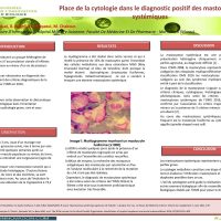 POSTER_17_-_Place_de_la_cytologie_dans_le_diagnostic_positif des_mastocytoses_systémiques -1